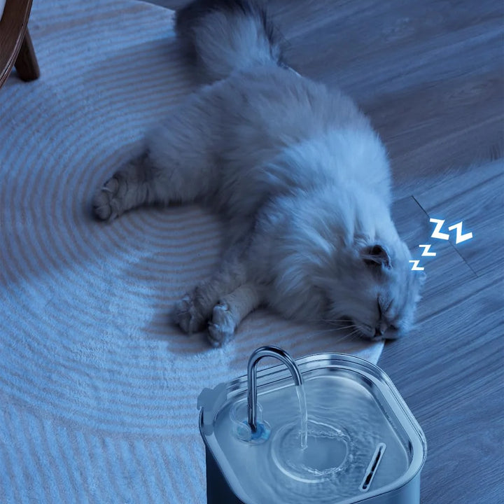 3.2L Stainless Steel Pet Water Feeder – Auto Cat Fountain & Smart Dog Water Dispenser with Visual Window | Quiet Flow Drinking Bowl