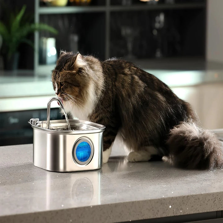 3.2L Stainless Steel Pet Water Feeder – Auto Cat Fountain & Smart Dog Water Dispenser with Visual Window | Quiet Flow Drinking Bowl